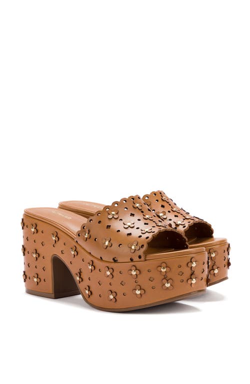 Shop Larroude Larroudé Miso Platform Sandal In Biscuit