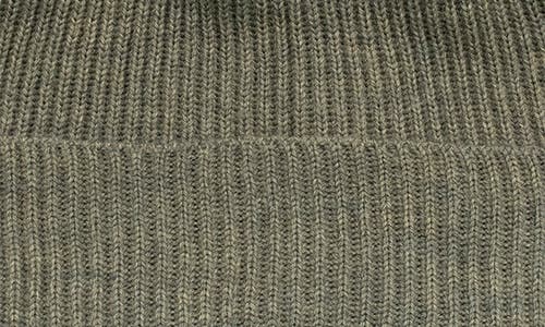 Portolano Merino Wool Rib Cuff Beanie In Branch