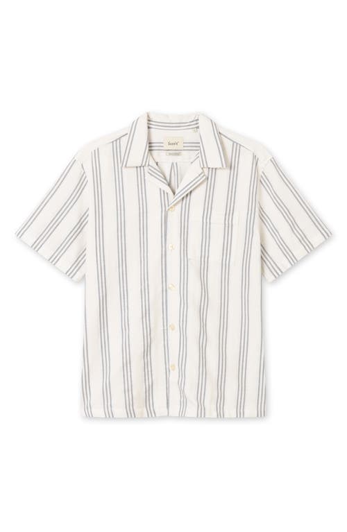 FORET Twig Regular Fit Stripe Short Sleeve Organic Cotton Button-Up Shirt in Navy/Sandstone