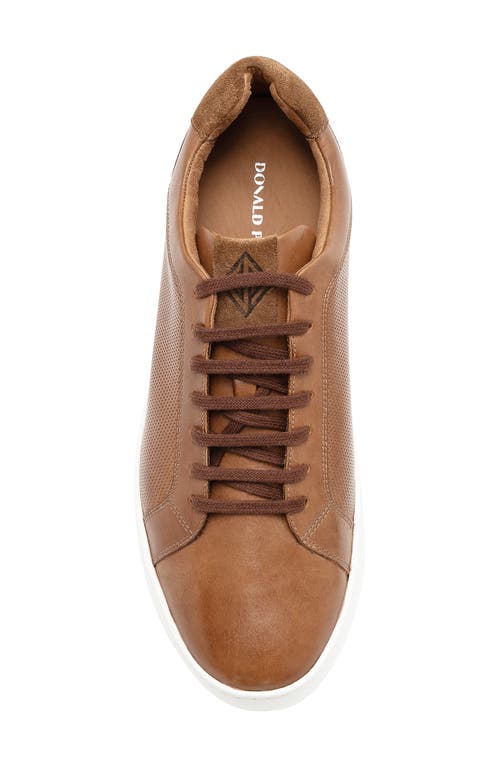Donald Pliner Perforated Sneaker In Saddle
