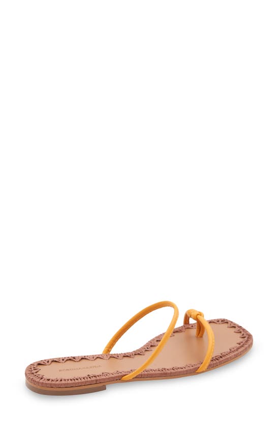 Bcbgmaxazria Women's Bali Flat Sandal Women's Shoes In Yellow