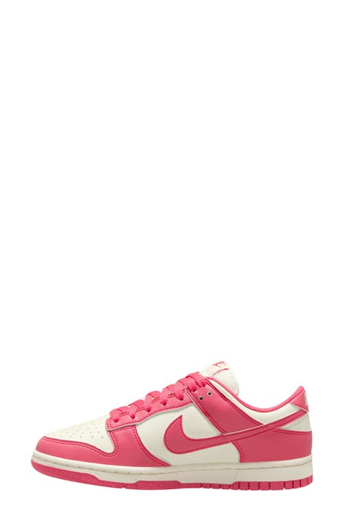 Shop Nike Dunk Low Next Nature Sneaker In Aster Pink/aster Pink-sail