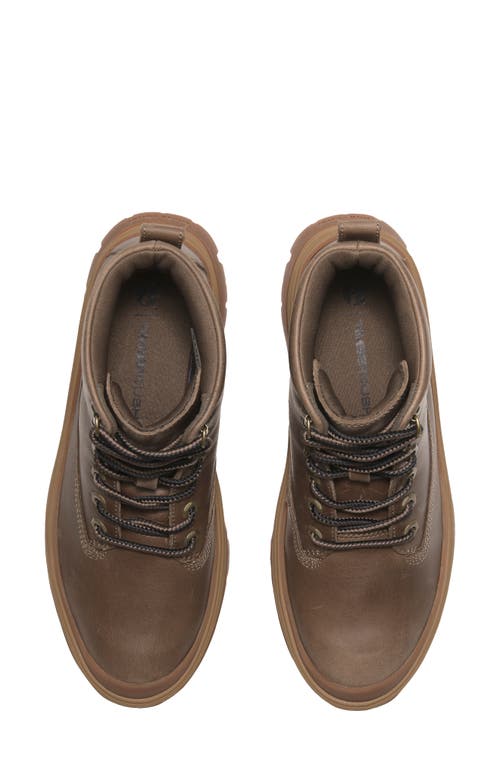 Timberland Roxie Lane Hike Boot In Multi