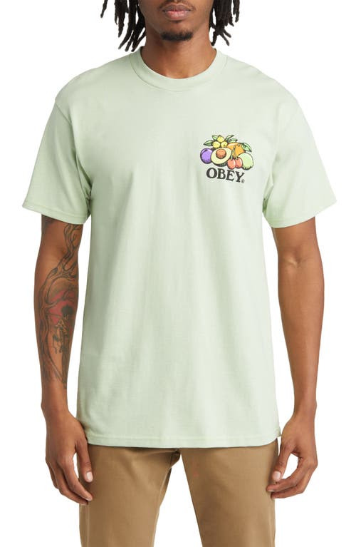 Obey Bowl of Fruit Graphic T-Shirt in Cucumber