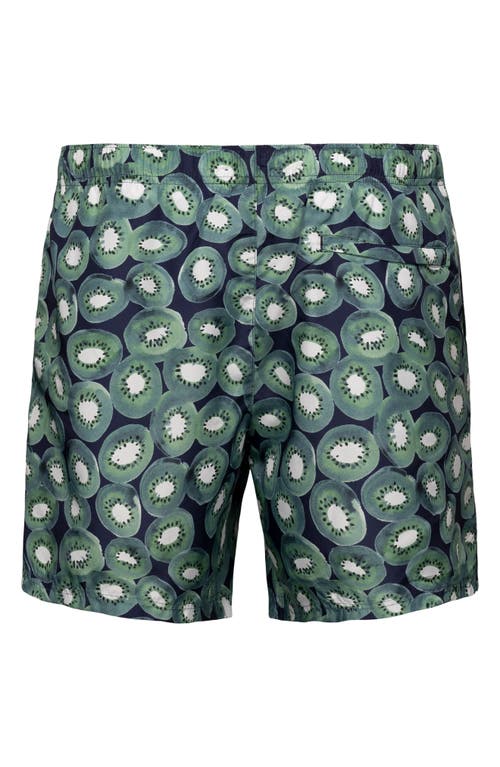 Eton - Kiwi Print Swimming Shorts 10001126627 In Blue/green
