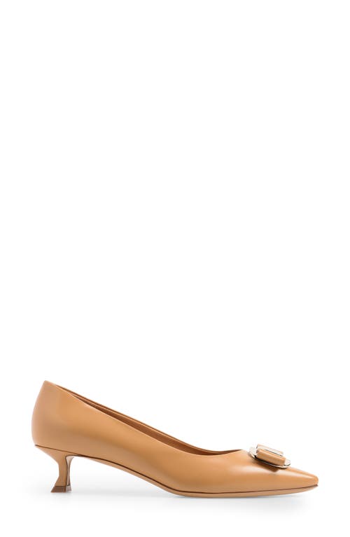 Shop Ferragamo Zelma Bow Pointed Toe Kitten Heel Pump In Light Camel