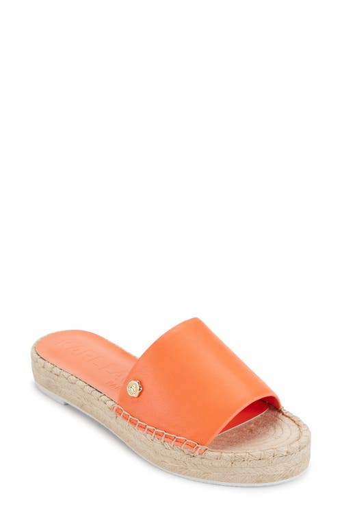 Karl Lagerfeld Paris Carsten Slide Sandal Apricot at Nordstrom,