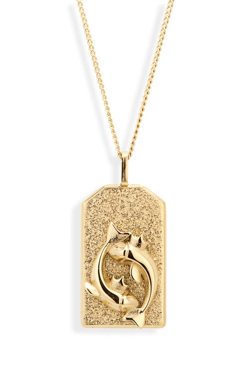 Jenny Bird Zodiac Pendant Necklace in Gold