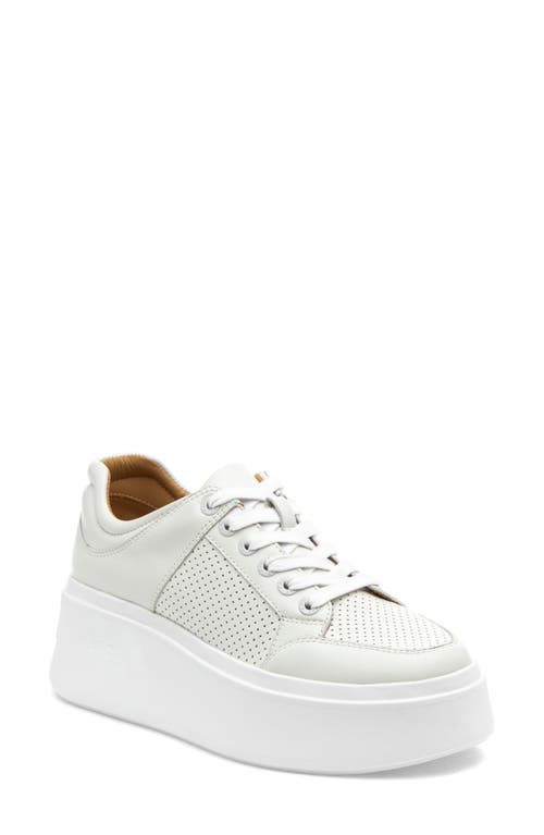 Harlowe Platform Sneaker in White