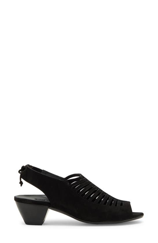 Shop Paul Green Talia Slingback Sandal In Black Suede