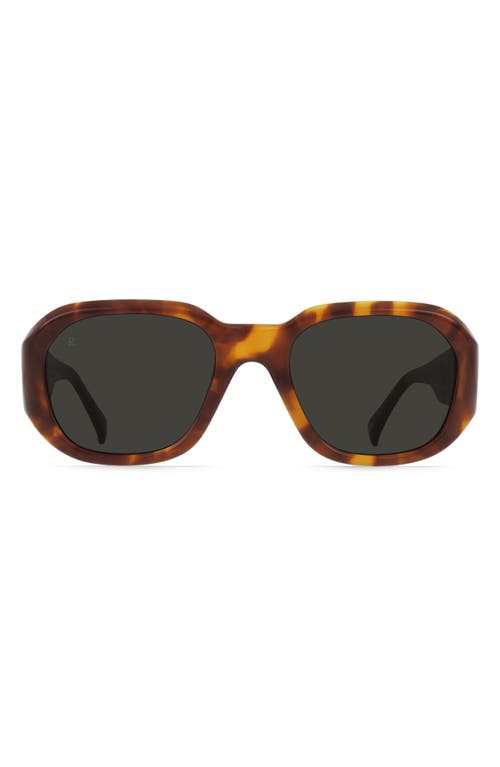 Raen Zouk Gradient Polarized Square Sunglasses In Oso Tortoise/monsoon