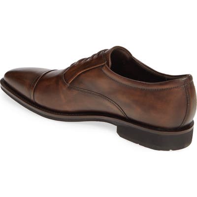 Ecco Calcan Cap Toe Oxford, Brown