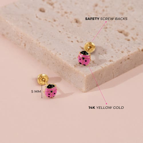 In Season Jewelry 14k Colorful Ladybug Earrings In Pink