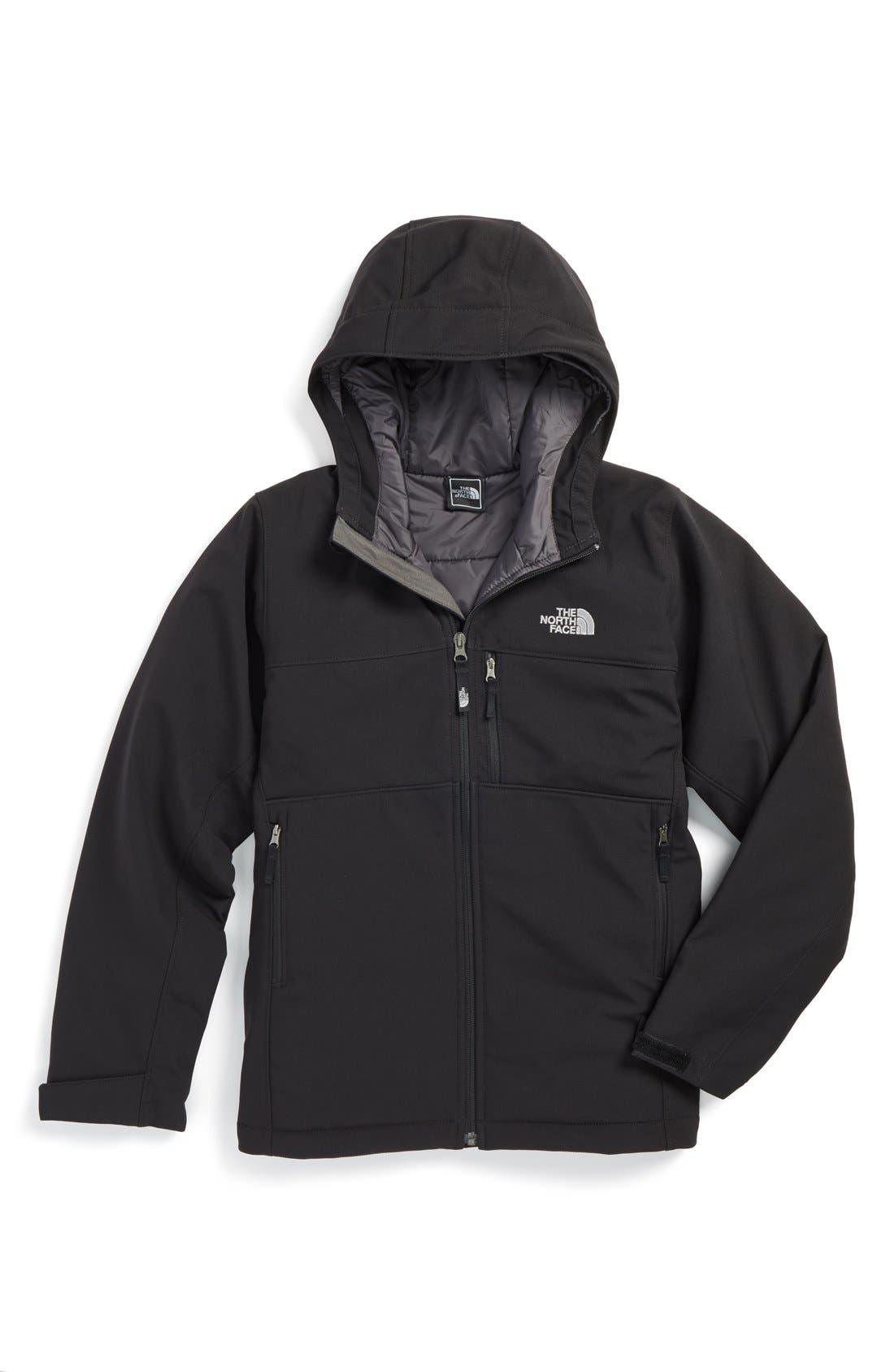 north face boys apex