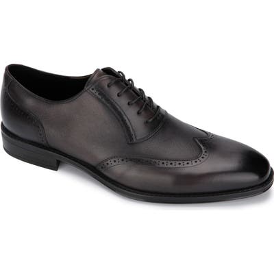 Kenneth Cole New York Micah Wingtip- Grey