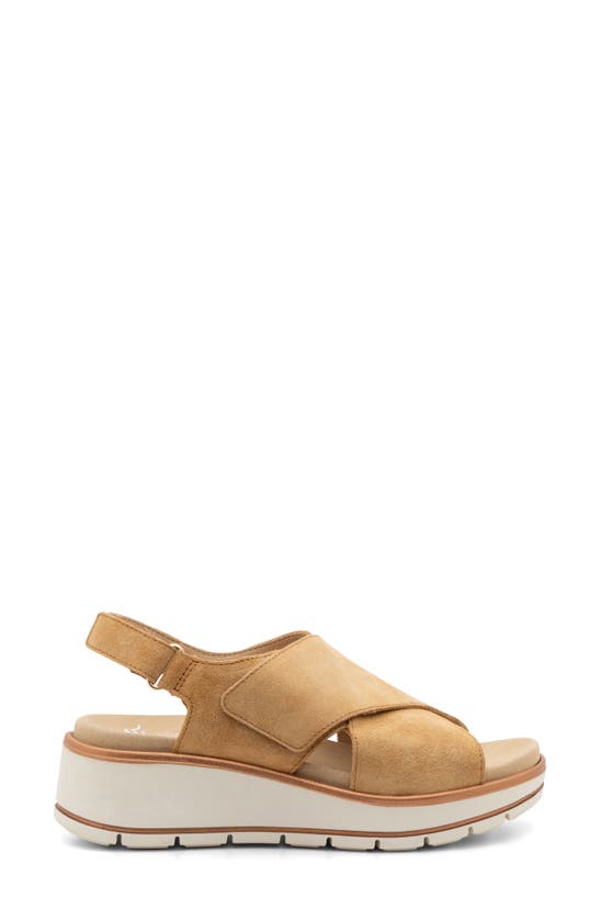 Shop Ara Santiago Slingback Platform Wedge Sandal In Cmel