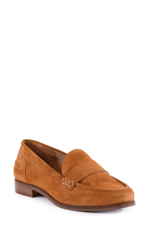 Shop Seychelles Sooner Or Later Loafer In Chestnut Leather