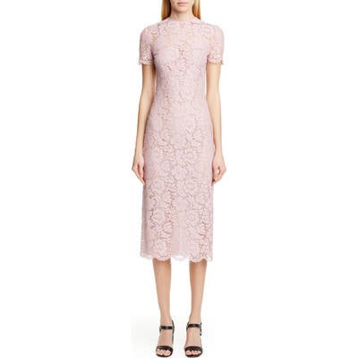 Valentino Lace Midi Sheath Dress, 50 IT - Pink