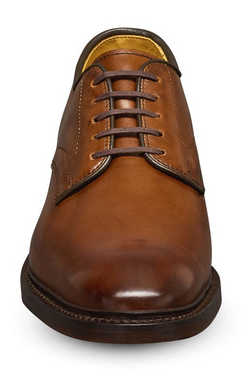 Allen Edmonds Maxwell Derby In Chili