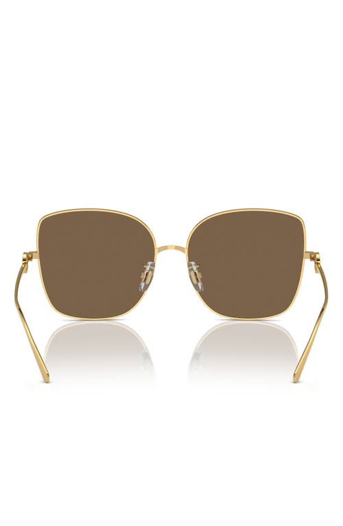 Tory Burch 60mm Oversize Butterfly Sunglasses In Gold/gold