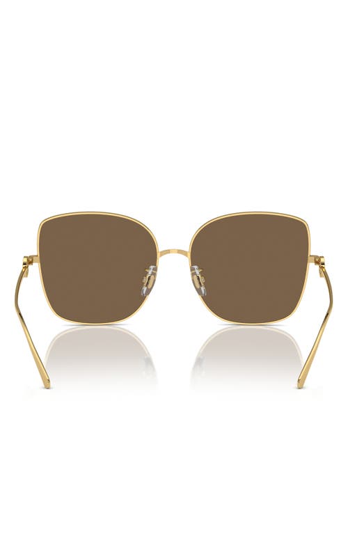 Shop Tory Burch 60mm Oversize Butterfly Sunglasses In Gold/gold