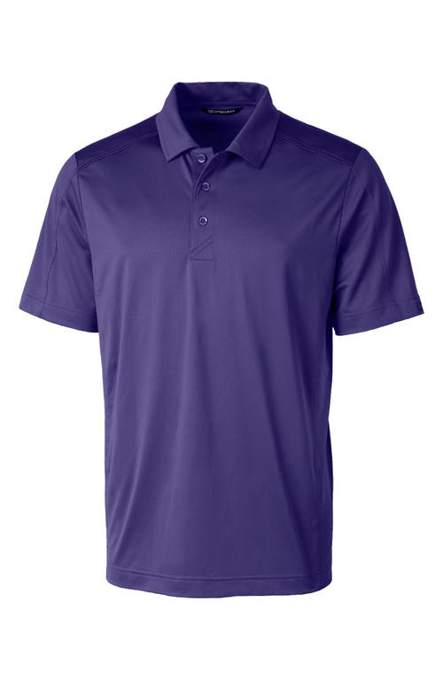 Cutter & Buck Prospect DryTec Performance Polo in College Purple