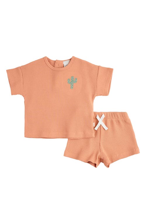 FIRSTS by Petit Lem Cactus Appliqué Thermal Knit T-Shirt & Shorts Set Coral at Nordstrom,