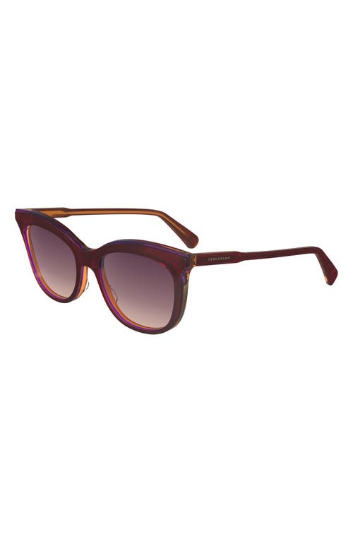 Longchamp 53mm Gradient Cat Eye Sunglasses In Dark Rose/peach