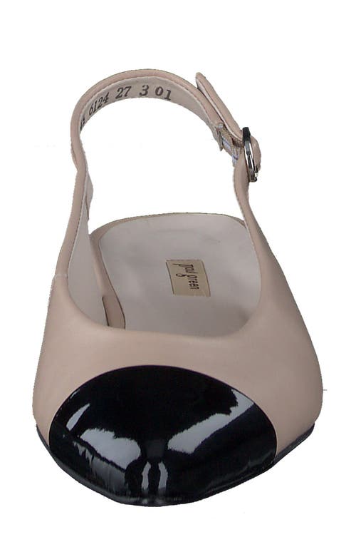 Paul Green Ynez Pointed Toe Slingback Flat In Black Biscuit Combo