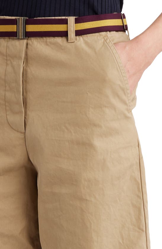 Shop Dries Van Noten Rugby Stripe Belted Cotton Chino Shorts In Beige