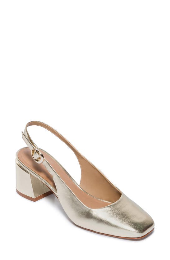 Shop Bernardo Alexia Slingback Pump In Champagne