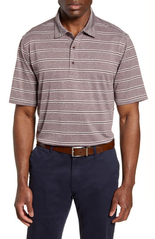 Cutter & Buck Forge DryTec Stripe Performance Polo in Bordeaux