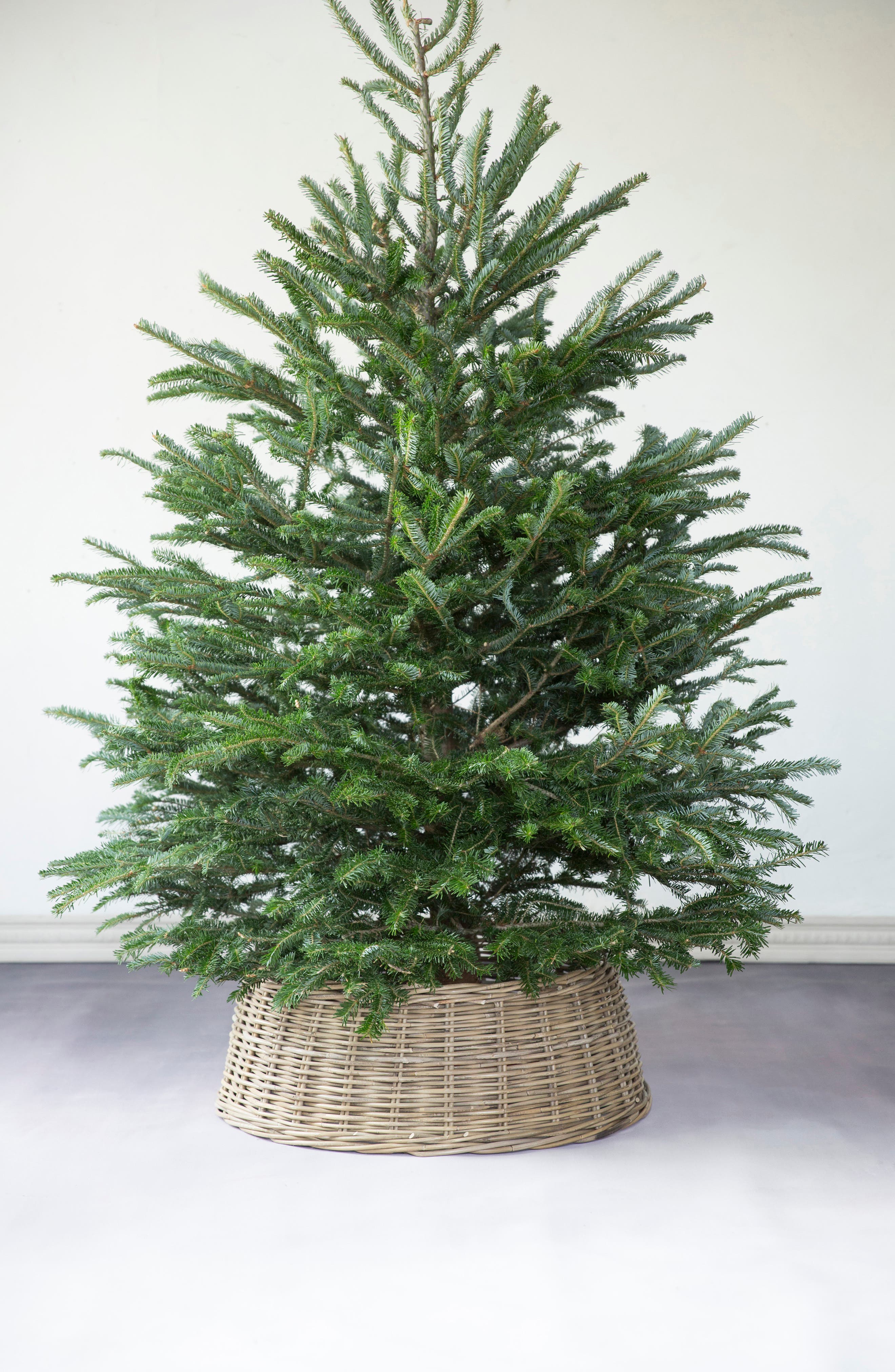 Terrain Wicker Basket Tree Collar Nordstrom