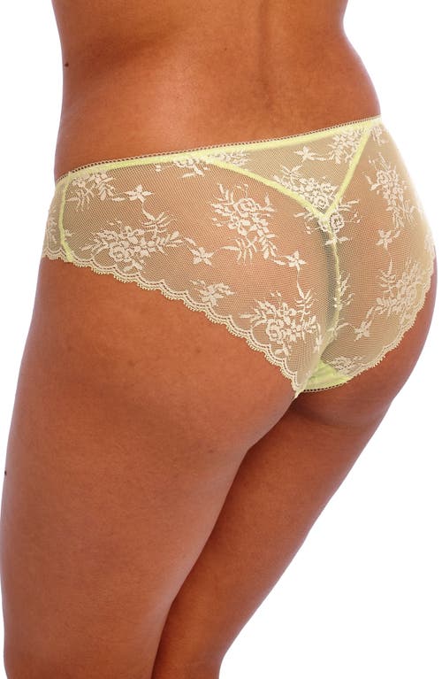 FREYA FREYA OFFBEAT DECADENCE GALLOON LACE BRIEFS 