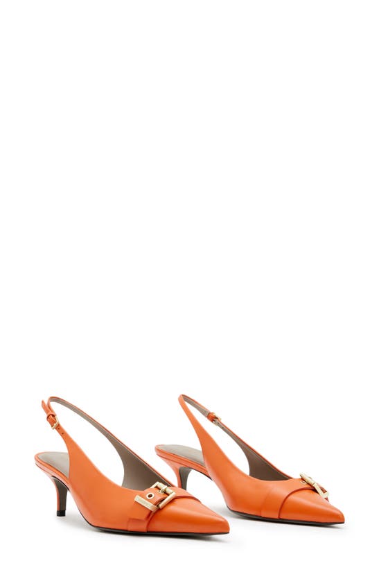 Allsaints Selina Pointed Toe Slingback Pump In Zesty Orange