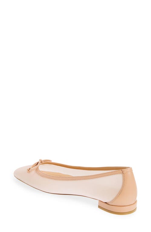 Shop Stuart Weitzman Arabella Ballet Flat In Ginger