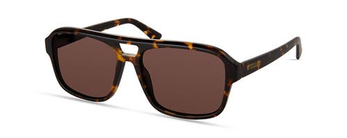 Derek Lam 10 Crosby Ryanne Sunglasses In Tortoise