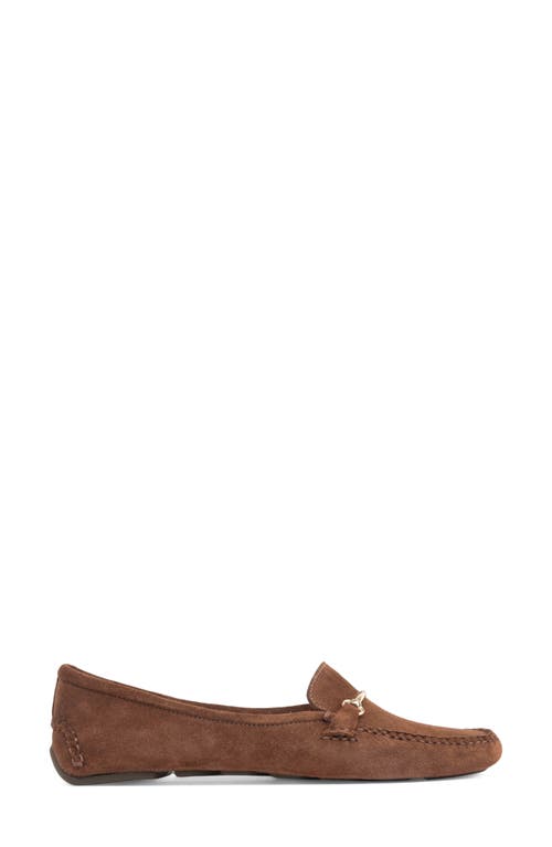 Shop Patricia Green Caroline Moc Toe Bit Loafer In Chocolate Suede