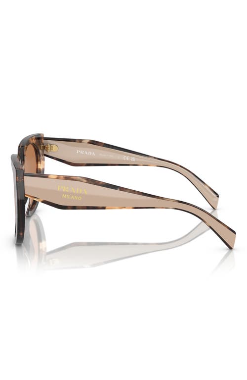 Shop Prada 52mm Irregular Sunglasses In Caramel Havana