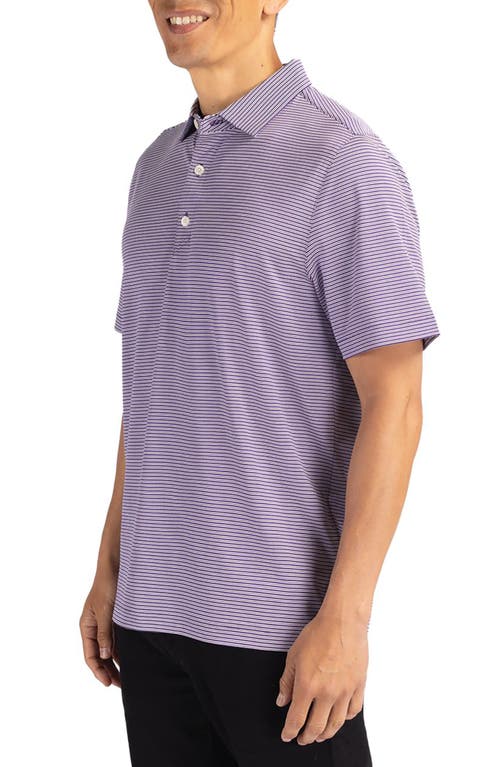 Shop Cutter & Buck Double Stripe Performance Recycled Polyester Polo In College Purple/white