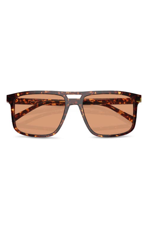 Prada 58mm Rectangular Sunglasses In Brown