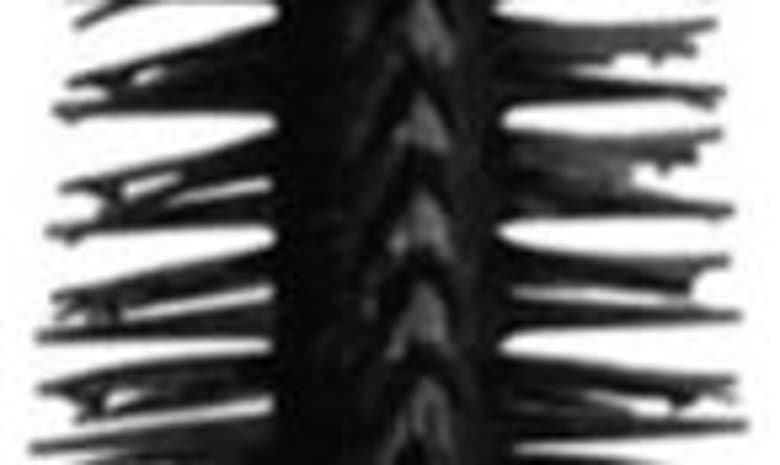 Givenchy L'interdit Volumizing & Lengthening Mascara In Black