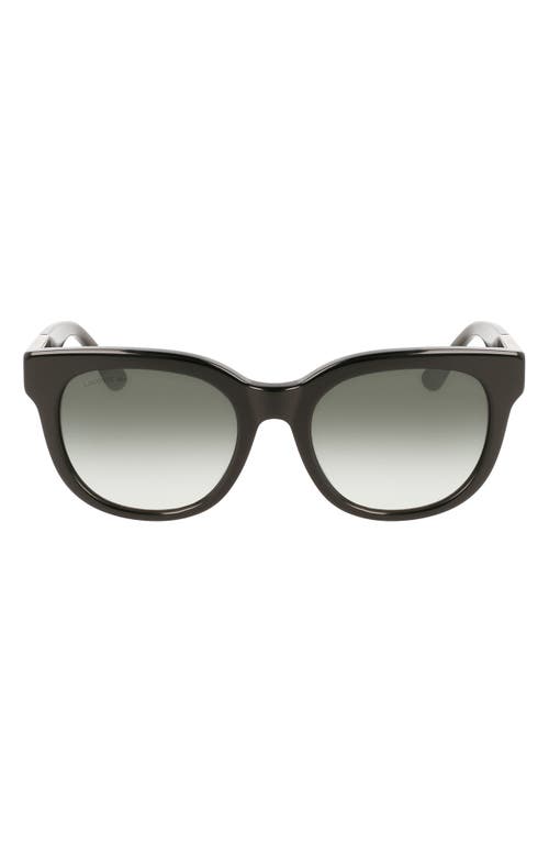 52mm Oval Sunglasses in Black