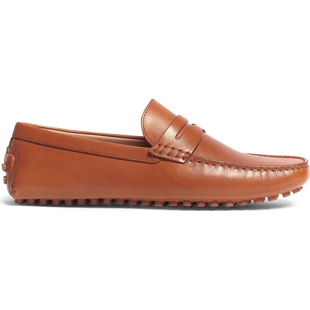 Carlos Santana Ritchie Penny Loafer In Tan