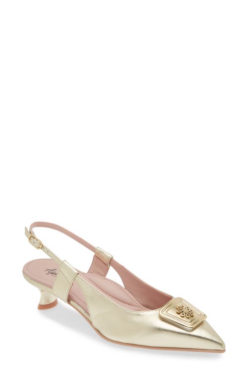 Naot Amber Pointed Toe Slingback Pump in Gold Metallic Leather 