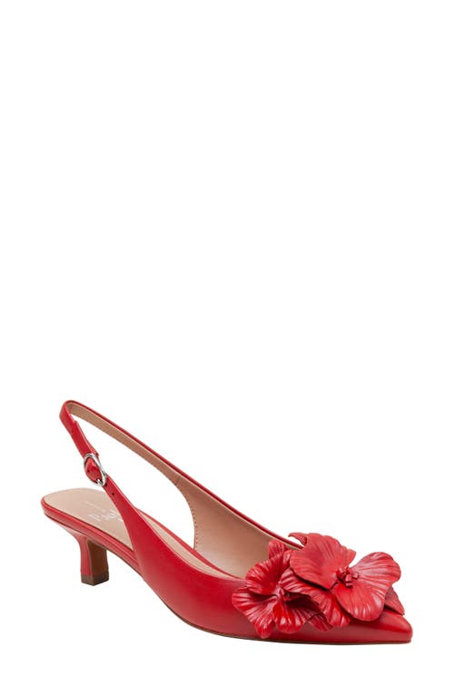 Shop Linea Paolo Castiel Slingback Pointed Toe Kitten Heel Pump In Lipstick Red