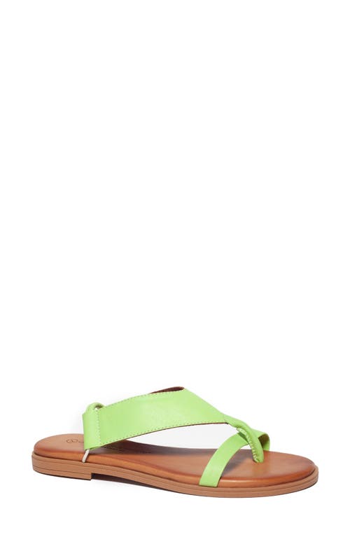 Unity Diversity Teresa 24 Slingback Sandal at Nordstrom,