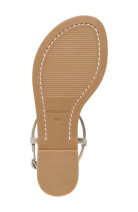 Shop Bernardo Footwear Haven Sandal In Champagne