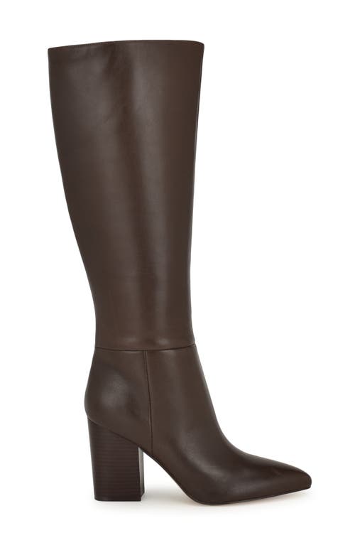 NINE WEST NINE WEST PEACHEY POINTED TOE KNEE HIGH BOOT 