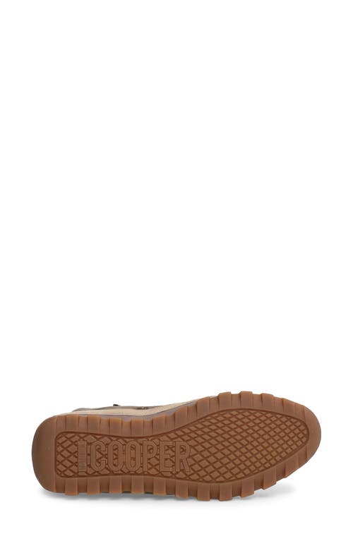Candice Cooper Janis Strip High Top Sneaker In Army Green